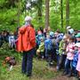 Fegetz Waldprojekt 2013