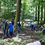 Fegetz Waldprojekt 2013