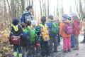 Kindergarten im Wald